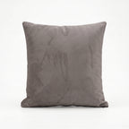aaron-pillow