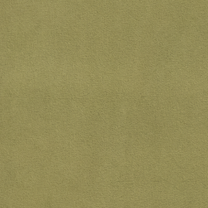 Olive fabric swatch